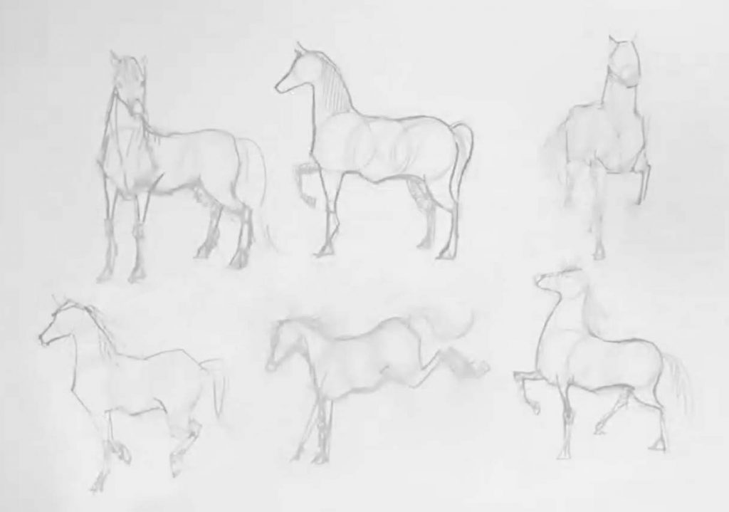 Cómo dibujar un caballo - Arte Pro